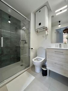 a bathroom with a shower and a toilet and a sink at Le Saphir in Toulouse