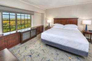 Postel nebo postele na pokoji v ubytování Sheraton Baltimore Washington Airport - BWI