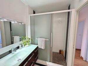 a bathroom with a sink and a shower at L'Aérien- Parking- Centre ville - Calme in Toulouse