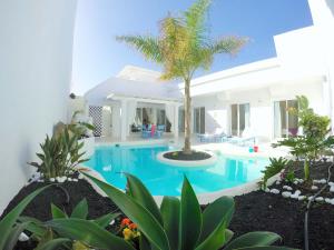 a pool with a palm tree in a house at Casa Nature by Vacanzy Collection in Corralejo