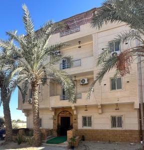 a building with two palm trees in front of it at The Home Siwa ذا هوم سيوة in Siwa