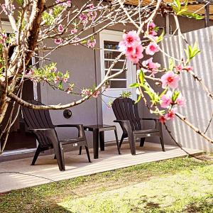 two chairs sitting on a porch with pink flowers at Departamento Los Cardales in Los Cardales +4 photos