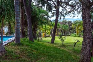 a view of a yard with trees and a swimming pool at Spacious Villa with Pool and Sports Area in La Venta del Astillero