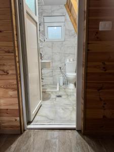 a bathroom with a sink and a toilet in a room at Mountain View RESORT in Vusanje