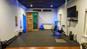 Fitness centrum a/nebo fitness zařízení v ubytování Mountain View Suite