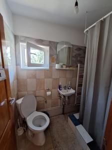 Phòng tắm tại CASA CU LAVANDĂ +59 ảnh