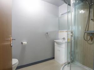 a bathroom with a shower and a toilet and a sink at Drysgol Lakeside - Bala Lake in Bala