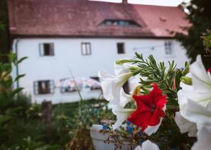 Zahrada ubytování ENJOY COZY NEST View Hills Garden Forest Sauna Hottub