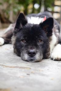 克萨尔特南戈Casa I`X的相册照片