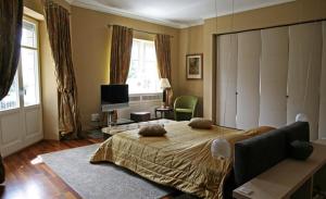 ein Schlafzimmer mit einem Bett und einem Fernseher darin in der Unterkunft Kalliope House in Akrotiri