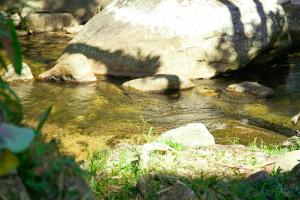 イリャベラにあるCamping & Cabanas Ilhabelaの岩流