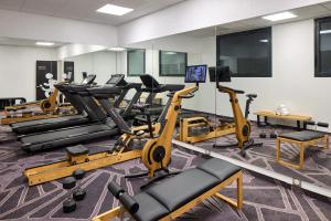 ein Fitnessstudio mit Laufbändern und Ellipsentrainern in der Unterkunft Hôtel Roissy in Lourdes