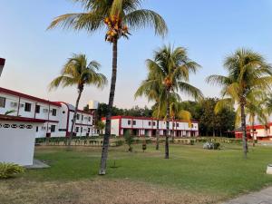 a group of palm trees in front of a building at Hotel Espor CA in Barinas