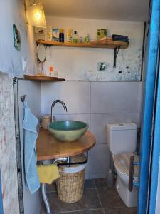 ein Badezimmer mit einem grünen Waschbecken und einer Toilette in der Unterkunft Casa Tara Ruhe und Entspannung, Natur pur in Acardece + 30 Fotos