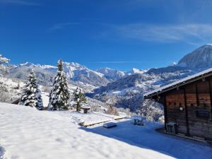 马尼戈Chalet de Manigod的山景雪盖小屋