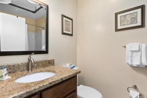 a bathroom with a sink and a toilet and a mirror at Mountain Inn Studio 53 with Wintergreen Advantage in Wintergreen +12 photos
