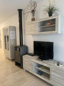 salon z telewizorem w drewnianym centrum rozrywki w obiekcie Riumar Nature 38 , piscina , aire acondicionado , barbacoa y pàrquing Privado w mieście Riumar