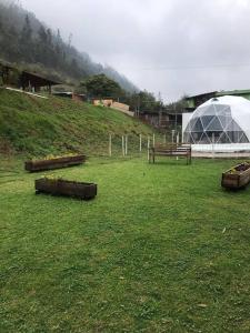 Zahrada ubytování Quinta Verde Limón