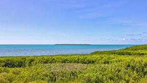 Paesaggio naturale nelle vicinanze della casa vacanze
