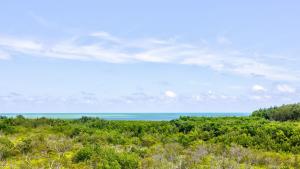 Paesaggio naturale nelle vicinanze della casa vacanze