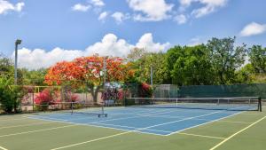 Attività di tennis o squash presso la casa vacanze o nelle vicinanze