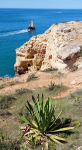 a boat on the water near a rocky coast at Apartamento Neptuno in Benagil
