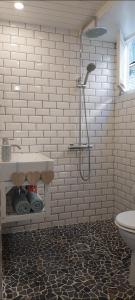 a bathroom with a shower and a sink at Studio Isaline RDC in Saint-Ambroix