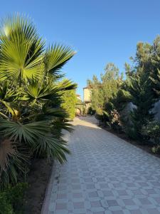 una entrada de adoquines con palmeras y una casa en Mardakan Green Village, en Baku