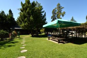 Κήπος έξω από το Penzion Pažický