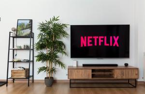 TV a/nebo společenská místnost v ubytování Alojamiento junto al Río con Parking en Ransol I AndBnB