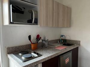 a kitchen counter with a sink and a microwave at Hotel Aire Libre - Suite 9 in Villa de Leyva