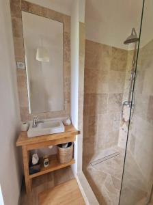 Un baño con lavabo y ducha en Maisonnette en pleine Campagne LA K-LINE, en Entrecasteaux