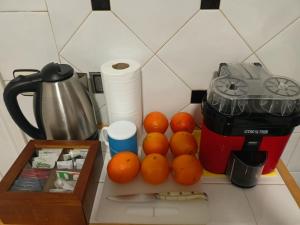 a pile of oranges sitting on a counter next to a blender at Cesuresrooms1 in Puentecesures