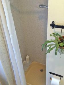 La salle de bains est pourvue d'une douche, d'une baignoire et d'une plante. dans l'établissement Quiet APT 2Rooms Big Kitchen Canal Saint Martin, à Paris