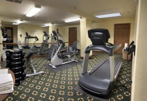 Fitness centrum a/nebo fitness zařízení v ubytování Austria Haus Hotel