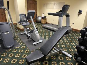 Fitness centrum a/nebo fitness zařízení v ubytování Austria Haus Hotel