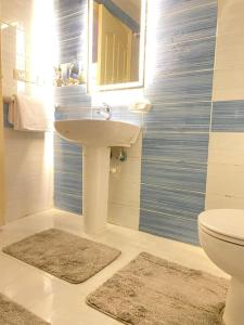 a bathroom with a sink and a toilet at Cozy House In Gardenia, Nasr city, Center in Cairo +20 photos