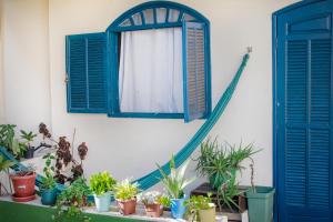 Zahrada ubytování Casa Surya Paraty
