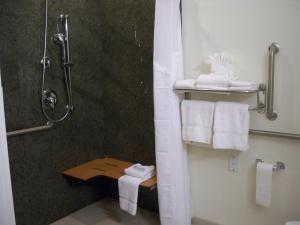 a bathroom with a shower and white towels at Holiday Inn Express & Suites - Omaha I - 80, an IHG Hotel in Gretna