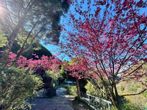 Un jardín fuera de 福緣山莊 桃園市民宿004號