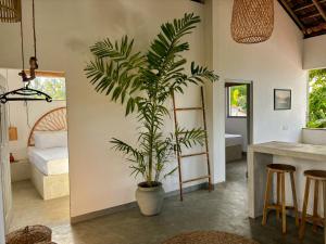 Voodi või voodid majutusasutuse Surf Lodge Madiha toas