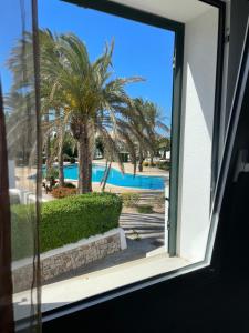 Una vista desde la ventana de una piscina con una palmera. en Your House in Menorca, en Ciutadella