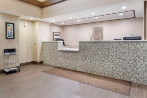 Vstupní hala nebo recepce v ubytování Comfort Inn & Suites + 28 fotografií