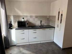 a kitchen with a sink and a microwave at Studio Le petit pélican in Châtenois +8 photos