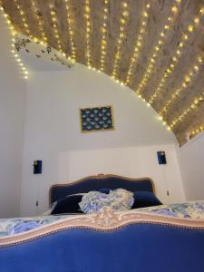 a bedroom with a bed with a ceiling with lights at Château des Princes "Prince Cupidon" in Sedan
