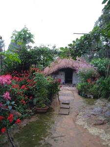 Zahrada ubytování Meikha Homestay