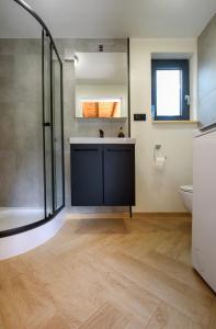 a bathroom with a shower and a sink and a toilet at Grotów 2e in Drezdenko