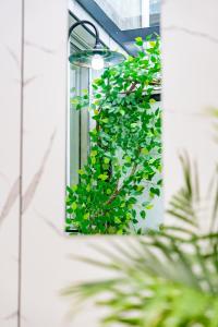 Giardino di 在盐官民宿