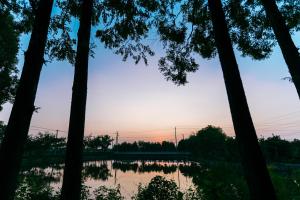 Paesaggio naturale nelle vicinanze del bed & breakfast