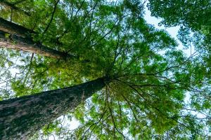 Paesaggio naturale nelle vicinanze del bed & breakfast